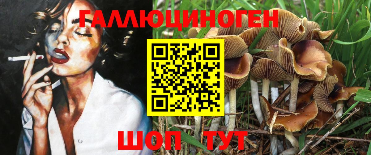 Шебекино  Галлюциногенные грибы Psilocybine cubensis  Галлюциногенные грибы мицелий  Вход с VPN 