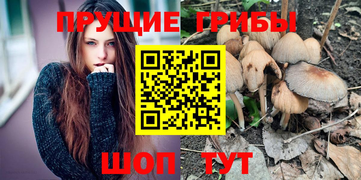 Галлюциногенные грибы Psilocybe Шебекино